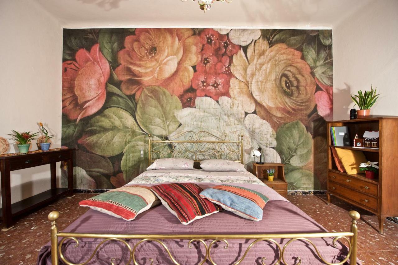 Liberi Mercanti - Guest House Affittacamere ルッカ エクステリア 写真
